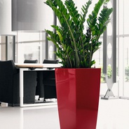 09. Cubico 50 "Autoriego" - Dale un toque estupendo a tus espacios con esta matera en acabado liso.
* Antes de tu compra confirma la existencia de colores