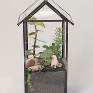 Terrario hogar con gatico  - Jardín en vidrio en forma de casa con figura de gato. 