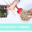 Taller de suculentas y terrarios