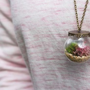 Collar de terrario - Collar con jardín en dije redondo, elementos naturales inmortalizados.

