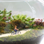 Terrario mediano ‘pedalea y pedalea’ - Jardín en vidrio en forma de pecera con figura de mujer en bicicleta