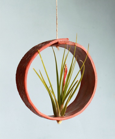 Planta de aire para colgar redonda