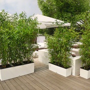 03. Trio Cottage 30 "Autoriego" - Dale un toque estupendo a tus espacio con esta matera jardinera en acabado texturizado. 
* Antes de tu compra confirma la existencia de colores