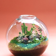 Terrario globo ‘amor propio’ - Jardín en vidrio redondo con figura de mujer con letrero.