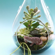 Terrario colgante ‘un lindo gatito’  - Jardín en vidrio en forma de gota para colgar o poner en mesa con figura de gato.