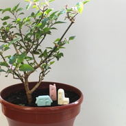 - SALE - Set de casas para decorar plantas - Adorna tus plantas con estas figuras para clavar en la tierra.