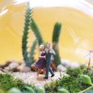 Terrario globo ‘que comience la fiesta’ - Jardín en vidrio redondo con figura de pareja bailando