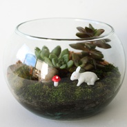 Terrario pequeño de conejo - Mini jardín en pecera con figura de conejo.