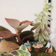 Terrario personalizado - Terrario con vidrio y figuras a elegir según el gusto o la ocasión. 
