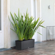 04. Trio Cottage 40 "Autoriego" - Dale un toque estupendo a tus espacio con esta matera jardinera en acabado texturizado. 
* Antes de tu compra confirma la existencia de colore