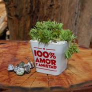 Matera de Mesa 01 Ref: Plastic - Decora tu escritorio, repisa ó mesa con esta hermosa materita.
Regala vida! *Antes de tu compra confirma la existencia de colores y cantidad.