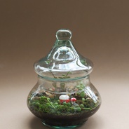 Terrario cerrado ‘Maneki neko’ - Jardín en vidrio tipo polvorera con figura de gato de la suerte chino.